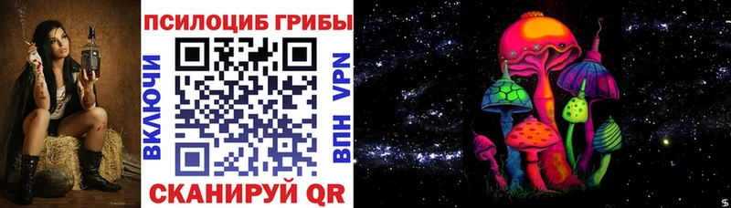 Купить где Клин Псилоцибиновые грибы MAGIC MUSHROOMS