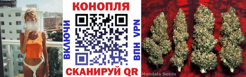 Купить закладки  Клин  Бошки Шишки индика 